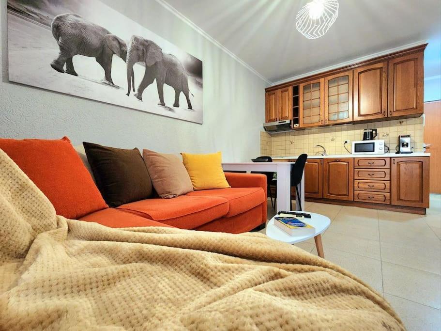 One Bd Flat Near Center With 24H Self Check In Apartment Tiranë Ngoại thất bức ảnh