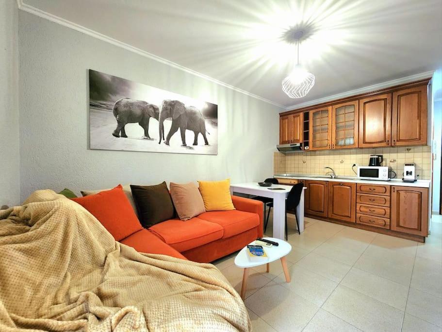 One Bd Flat Near Center With 24H Self Check In Apartment Tiranë Ngoại thất bức ảnh