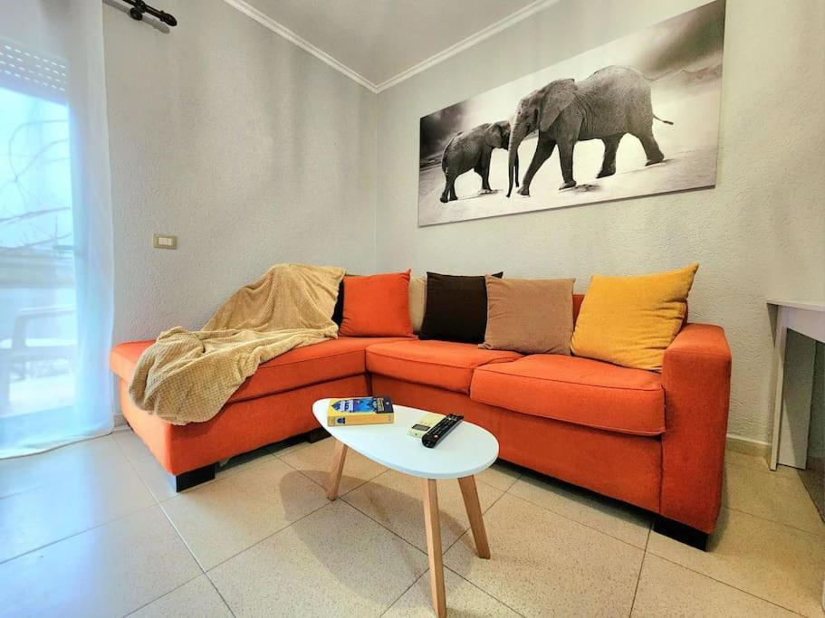 One Bd Flat Near Center With 24H Self Check In Apartment Tiranë Ngoại thất bức ảnh